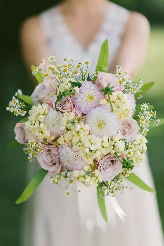 适合敏感肌的湿敷水洋甘菊,洋甘菊纯露修复敏感肌反馈