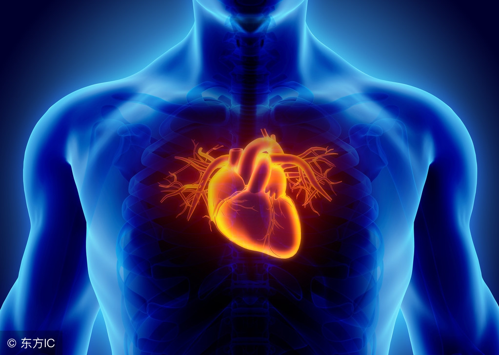 哈佛医学院干细胞事件,干细胞治疗心脏病骗局