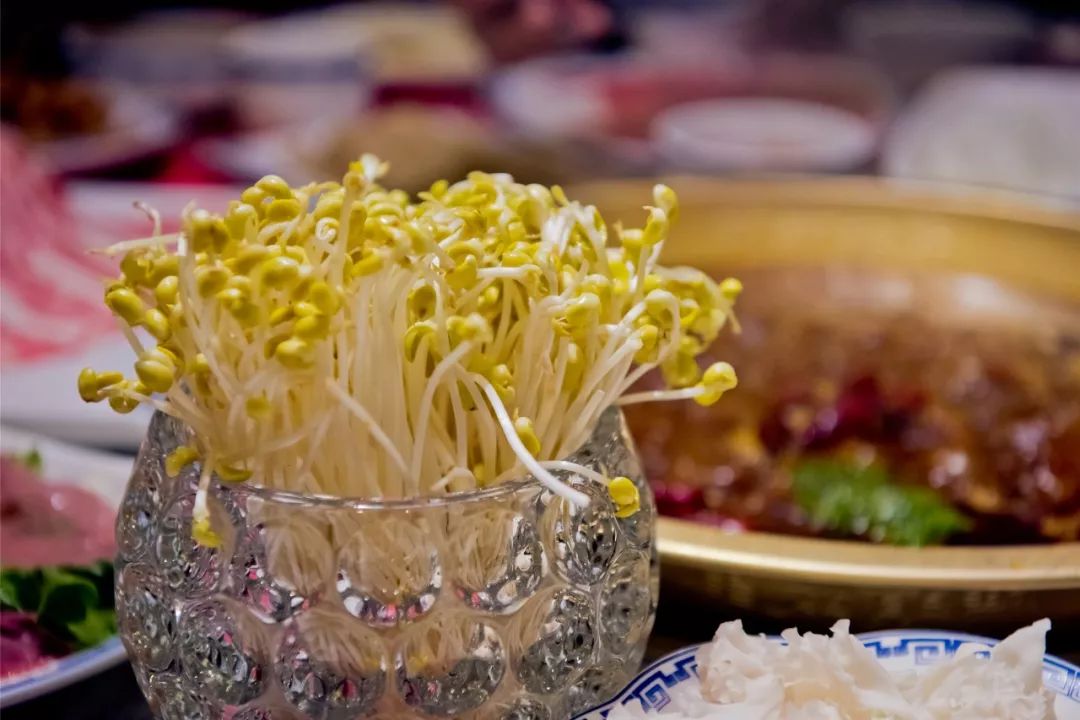 码头故事火锅9.9元代金券,明光码头故事火锅团购套餐