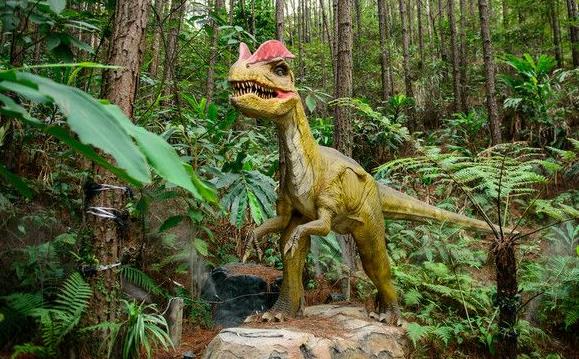 科学家发现的5种诡异生物,科学家发现奇怪的恐龙