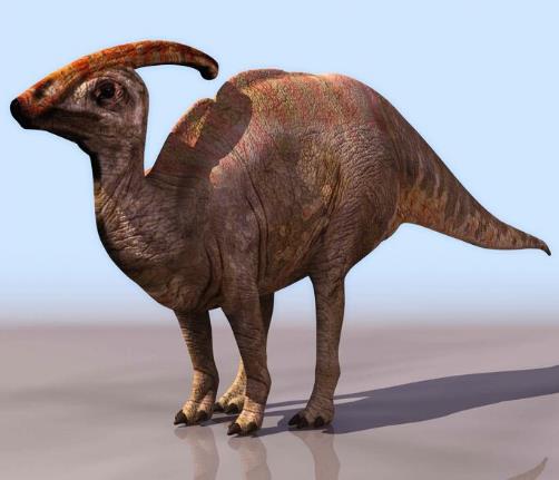 科学家发现的5种诡异生物,科学家发现奇怪的恐龙