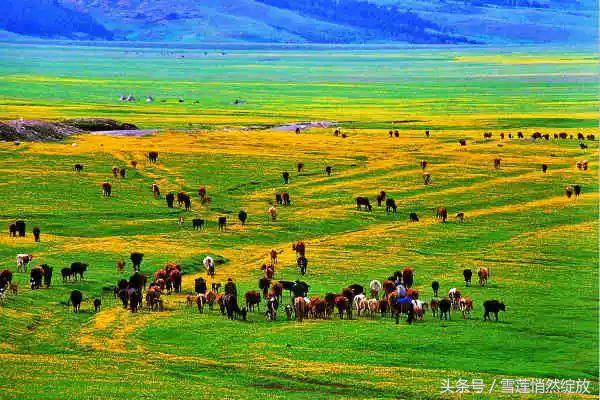 上海特产必买清单一览表,各地特产礼品一览表