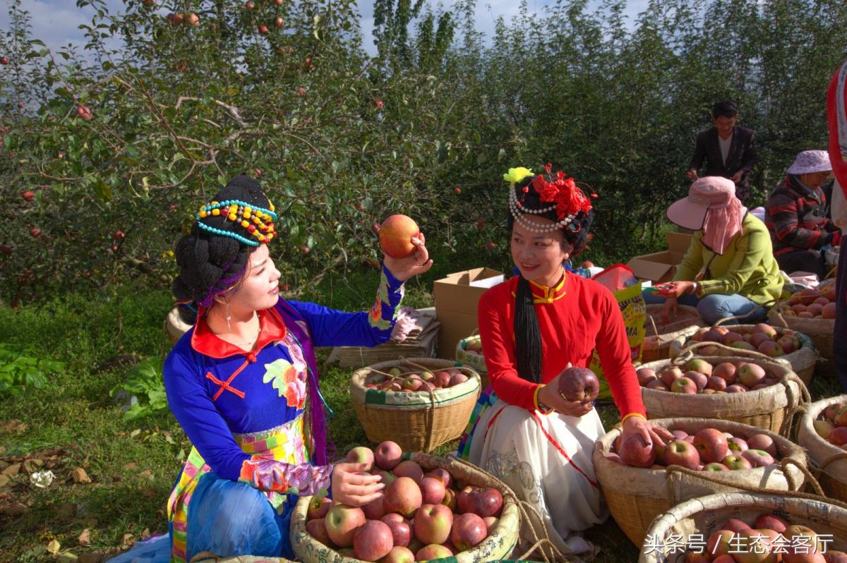 盐源苹果几月份上市,盐源苹果和阿克苏苹果哪个好吃