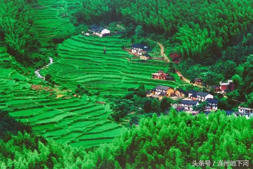 回忆连州,连州在哪里呀