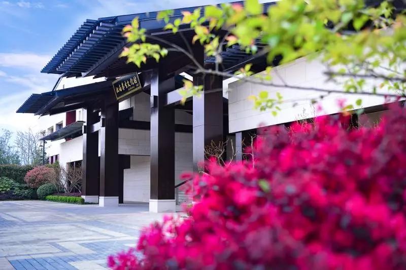 “望闻食嗅”皆养生……桐庐开启大杭州首条中医药健康养生之旅！