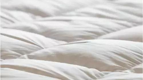 蚕丝被羽绒被棉花被到底哪个最好,棉被蚕丝被羽绒被羊毛被哪个好