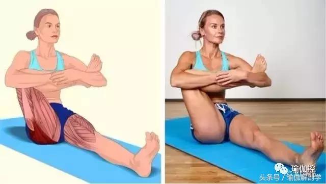 筋长一寸寿延十年瑜伽,瑜伽解剖矢状面与额状面