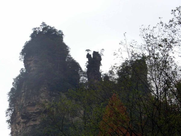 张家界国家森林公园天门山两日游,张家界天门山自由行攻略一日游