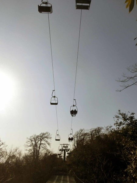 张家界国家森林公园天门山两日游,张家界天门山自由行攻略一日游