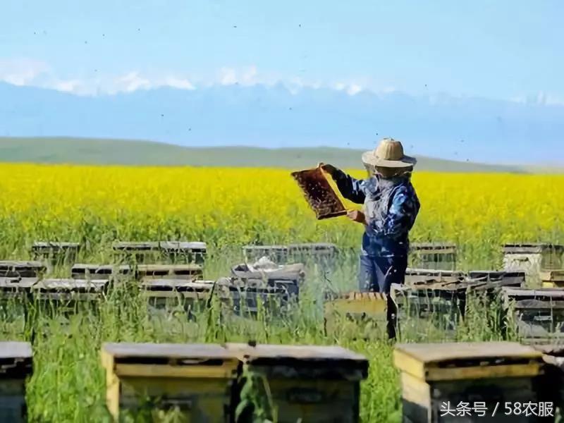 10.18农服资讯:电商法:个人网销农副产品不交税