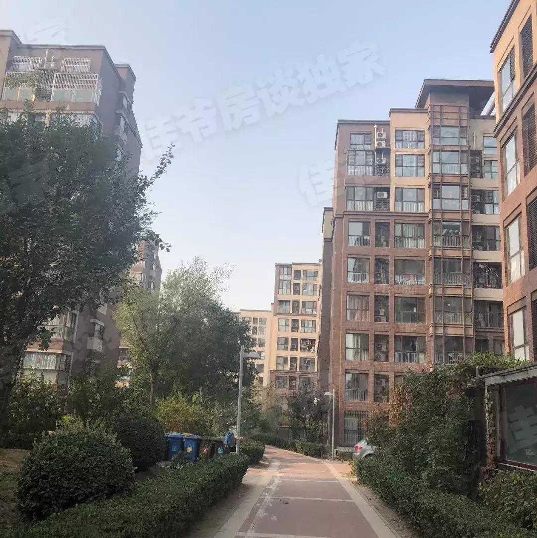 踩盘后楼盘火爆文案,踩盘房山