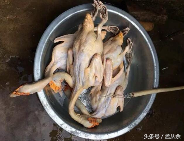 浙江盐水鸭怎么吃,原汁原味盐水鸭