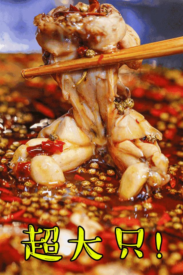 春熙路求婚后来怎么样了,春熙路大熊猫求婚完整版