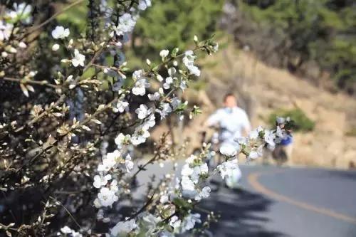 大连到四川自驾游路线经典攻略,大连到长白山自驾游攻略沿途景点