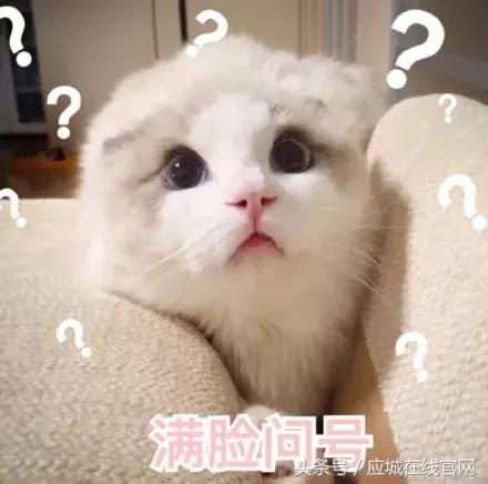 锦鲤都有哪些活动类型呢,锦鲤活动在哪里