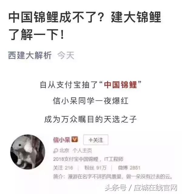 锦鲤都有哪些活动类型呢,锦鲤活动在哪里