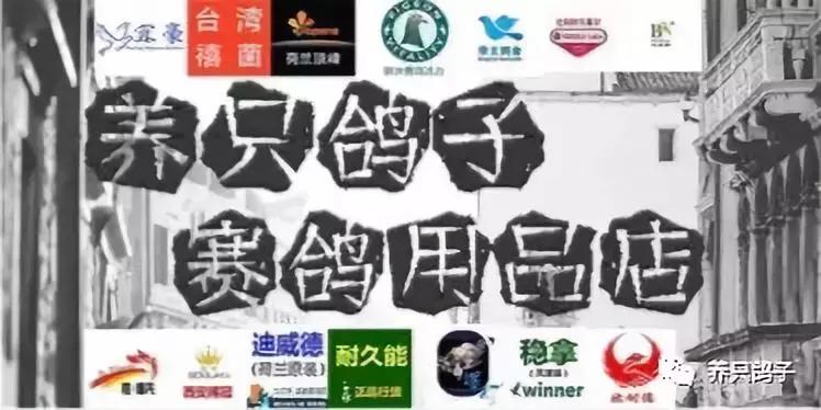 赛鸽常见病大全快快来收藏,赛鸽常见病不可不看的小妙招