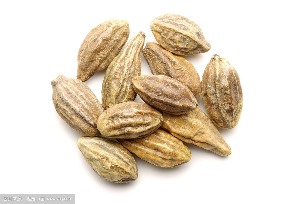 中草药诃子,中药材诃子最新价格现在是多少