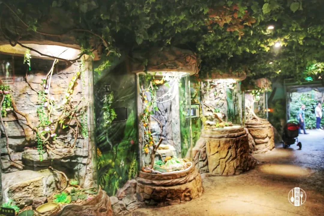 动物园万圣节里面有什么,万圣节动物王国