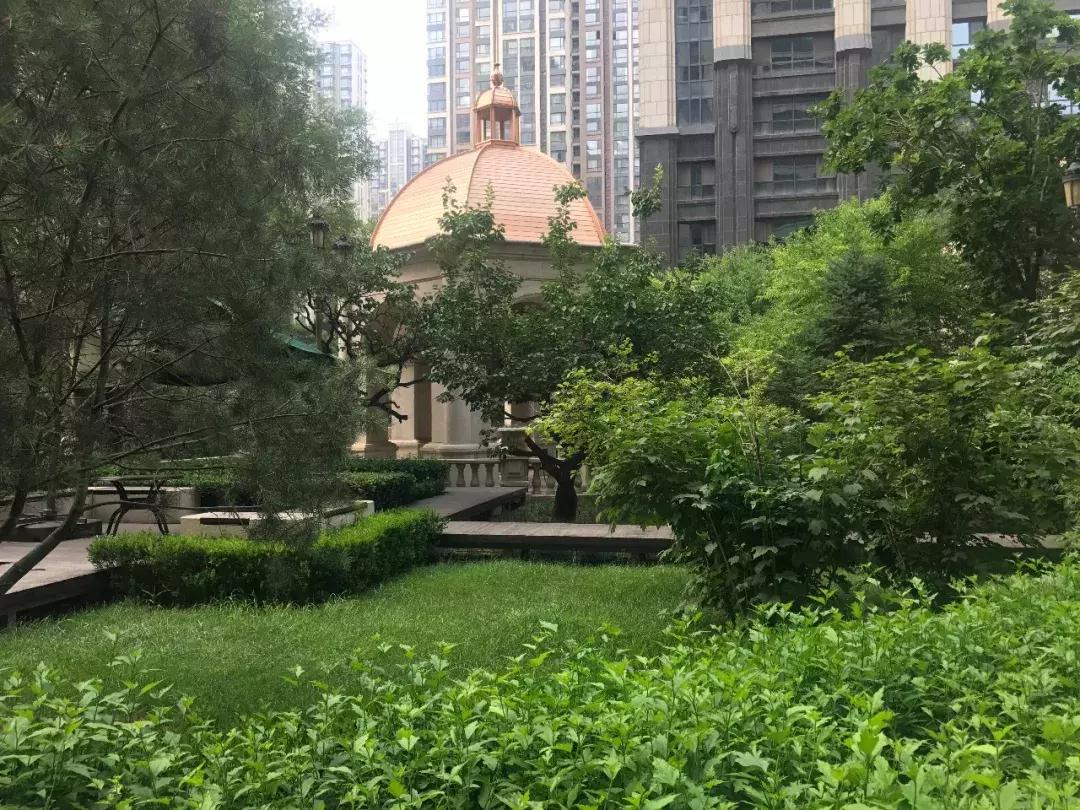 石家庄最好的小区房价,石家庄房价最贵10大成熟小区