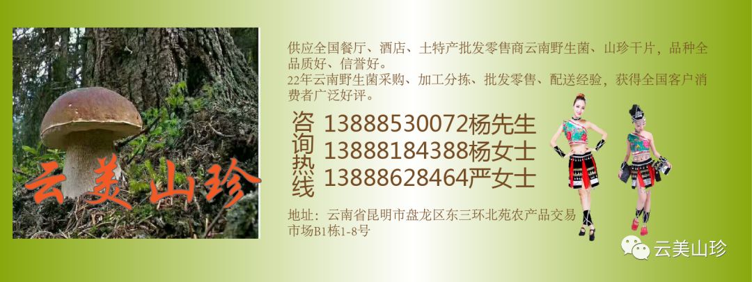 四季山珍专营云南野生菌,云南山珍野菌一手货源