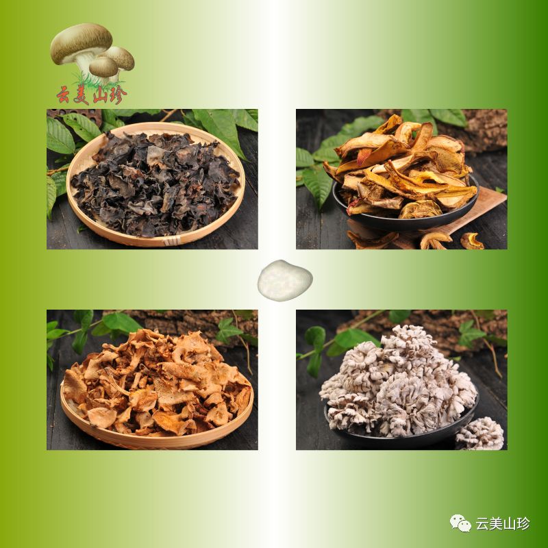 四季山珍专营云南野生菌,云南山珍野菌一手货源