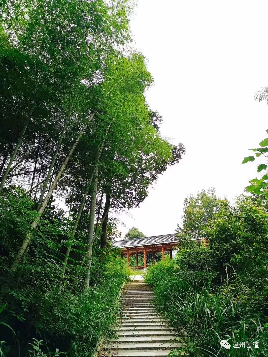 瓯海瞿溪风景,远山近水如诗如画