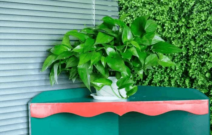 密度板如何去除甲醛,密度板甲醛是什么味道