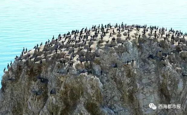 美爆了一大波青海冬日奇景,青海神秘奇景