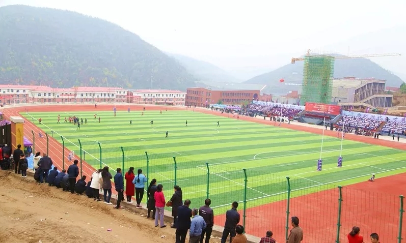 欧美的体育运动,欧美体育橄榄球