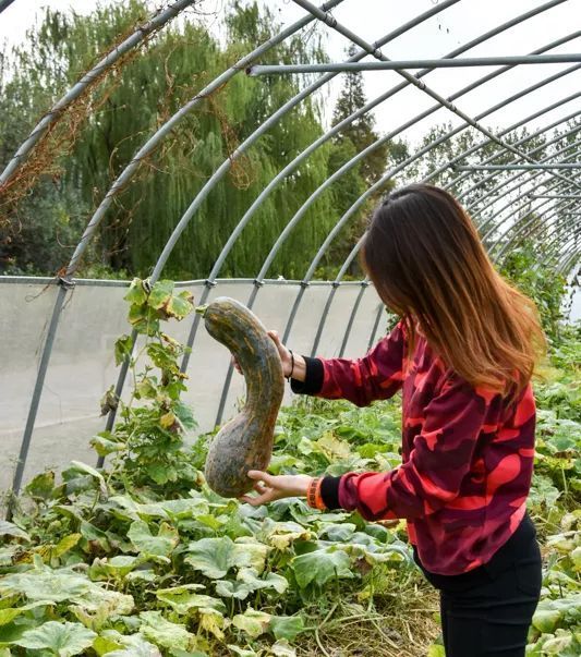 探秘2500亩魔都后花园!欧式别墅独栋、宠物乐园、动物农场高尔夫