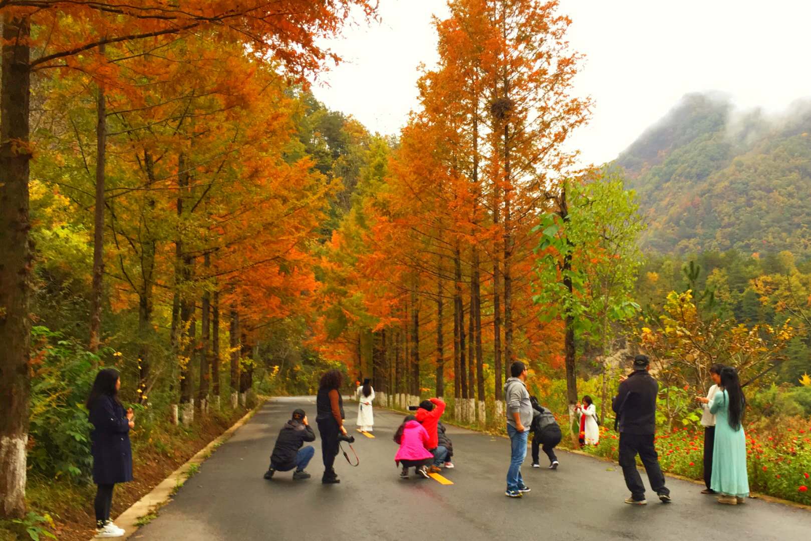 秋景西安好去处,雨后遇晴天留坝寻秋色