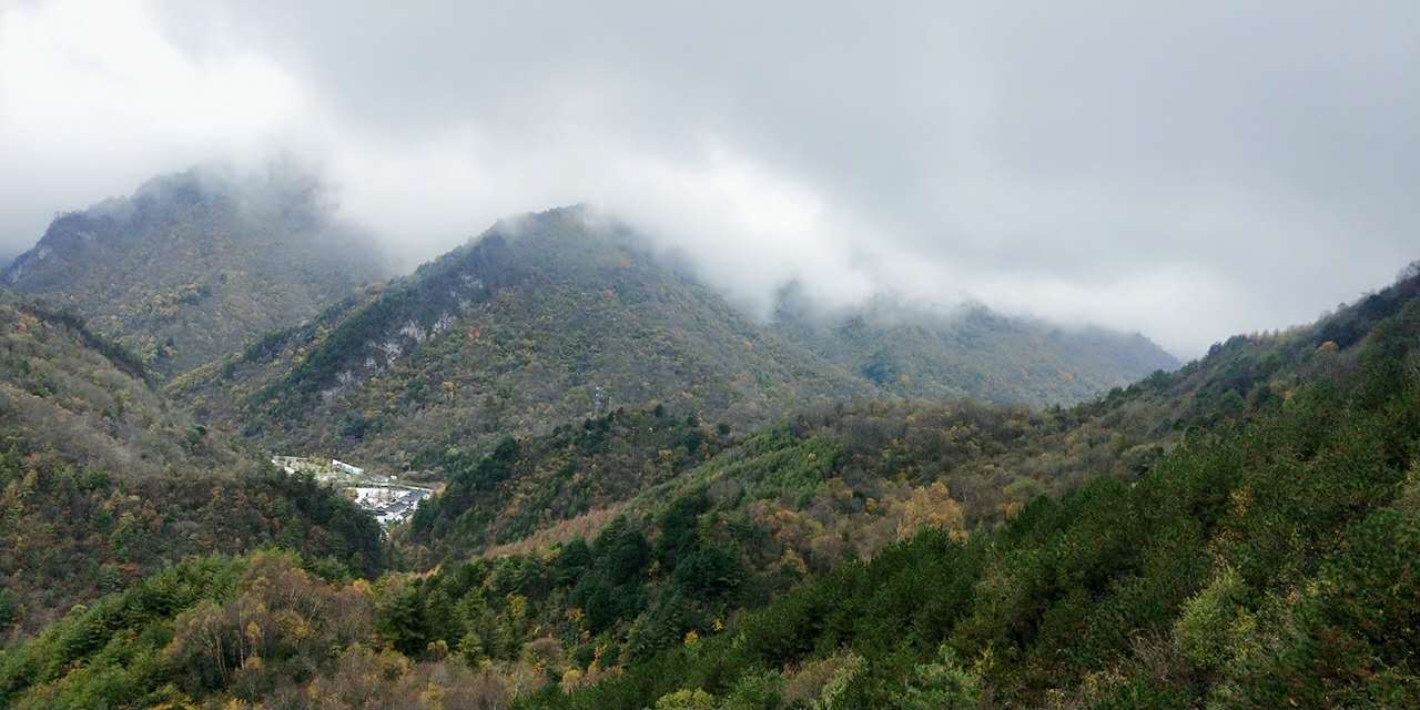 秋景西安好去处,雨后遇晴天留坝寻秋色