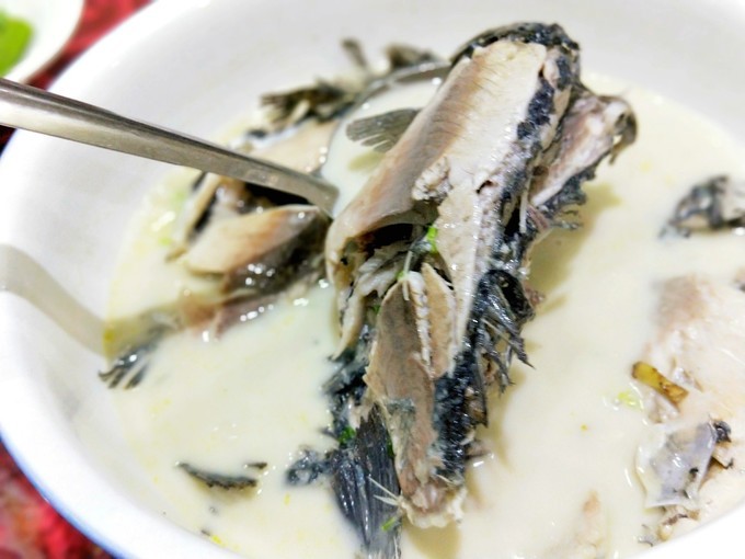 东营黄河入海口旅游攻略,东营河海交汇旅游攻略