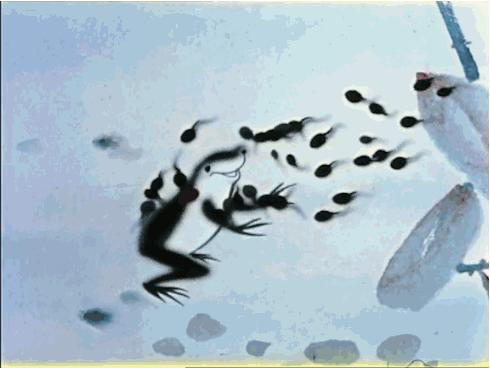 国内动画的巅峰之作水墨风,中国经典水墨动画片200部大合集