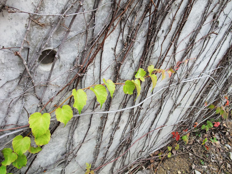 穷驴500块囧囧游香港（详细攻略带图）