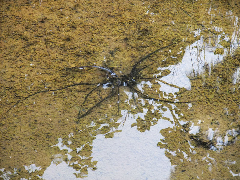 穷驴旅游,港囧游香港