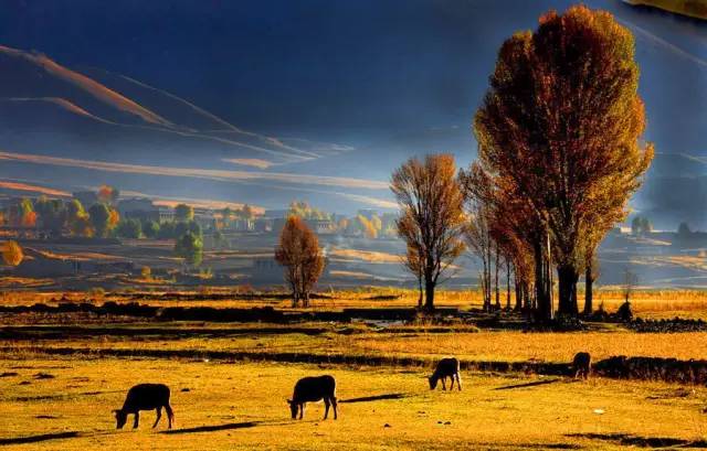 稻城亚丁旅游攻略 (西藏稻城亚丁美景)