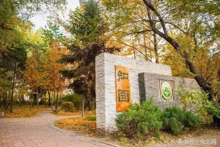 哈尔滨高校打卡,哈尔滨的风向标著名打卡地