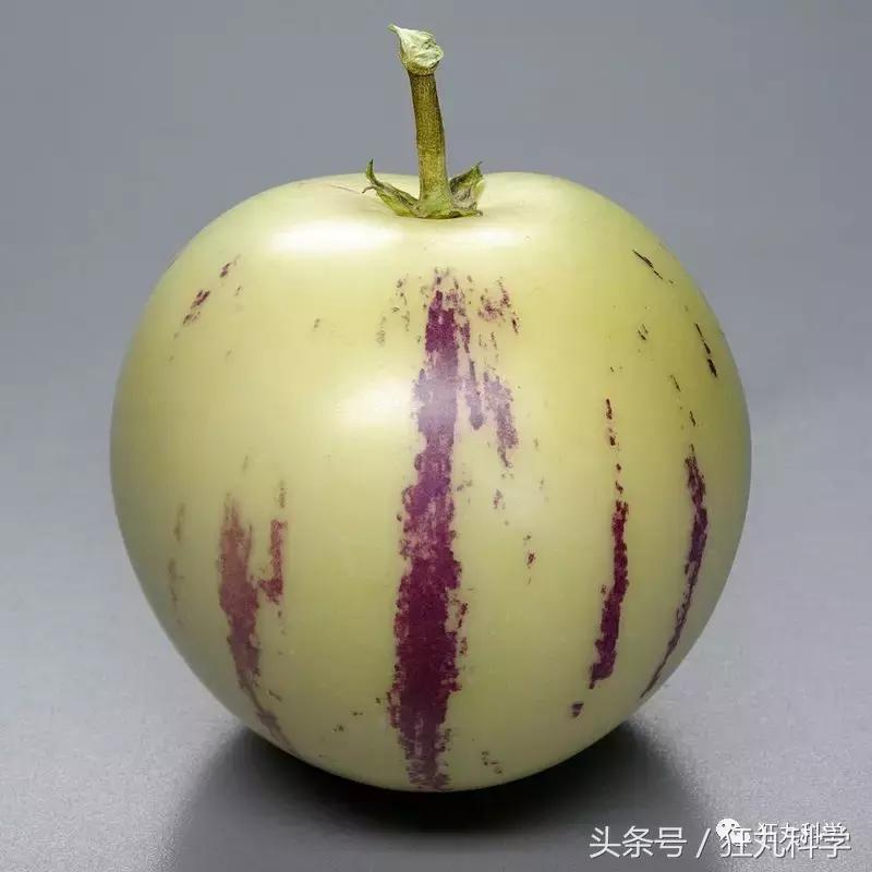 水银不是银是什么,水银不是银是水银