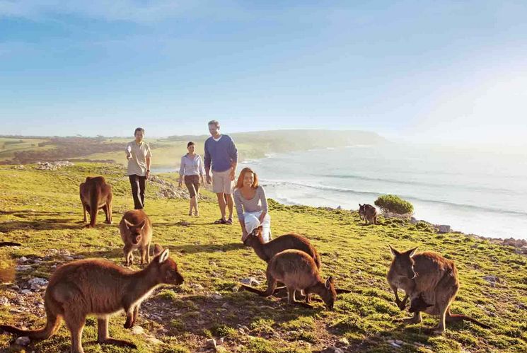 充电10分钟，水嫩一整天！这盒澳洲“断货王”面膜也太好用了吧！
