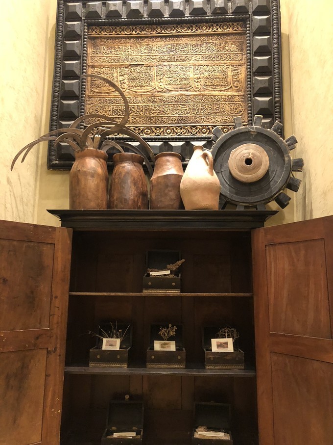 阿联酋沙漠之旅骑着骆驼去旅行,记录一次说走就走的阿联酋迪拜游