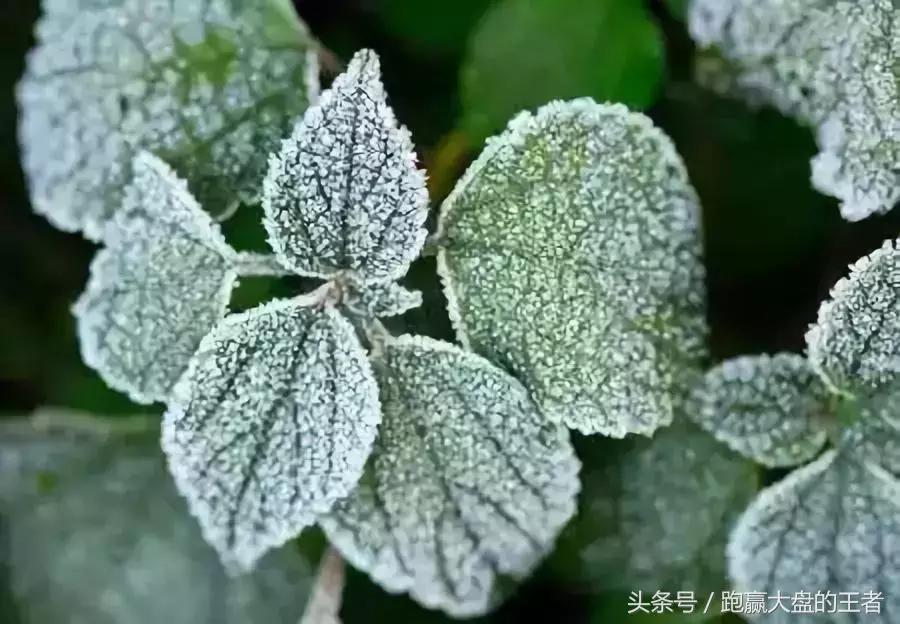 在股市中没有一成不变的经验,股市中的随波逐流