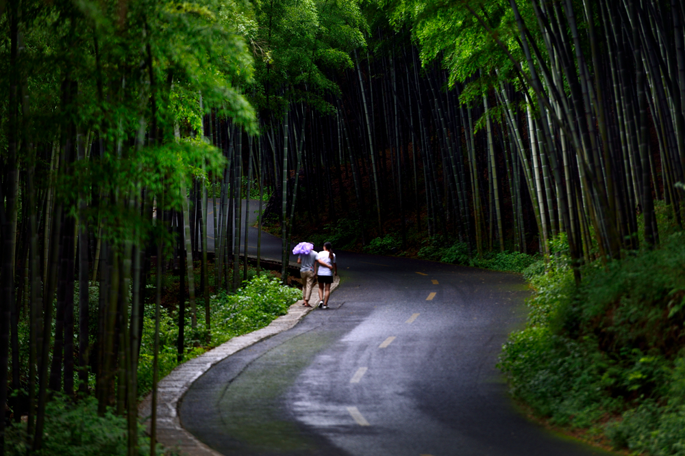 宜兴竹海的风景,推荐一个好的地方宜兴竹海