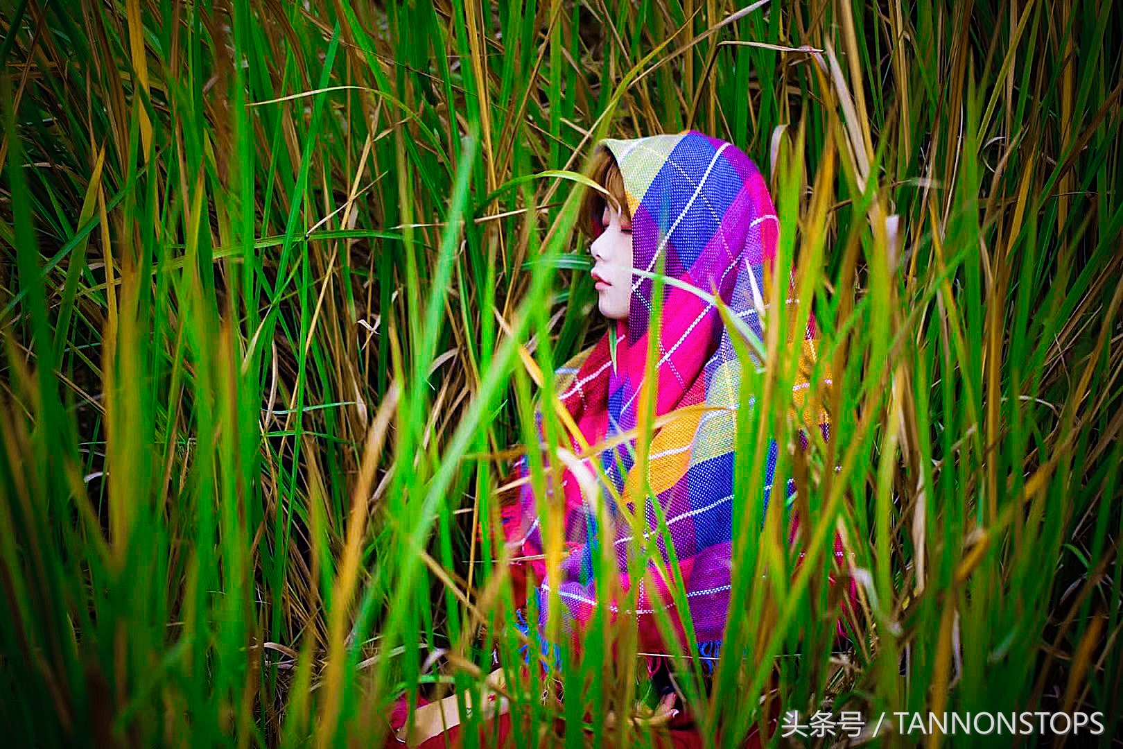 给你一个高清的调色方法简单易会,给作品调色教程