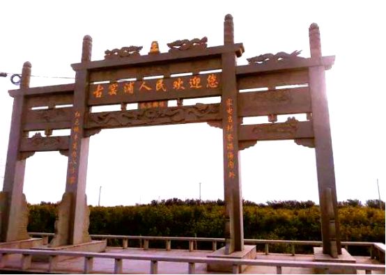 卖过猪肝、桃树、草莓，小生意炼成插座一哥，公牛上市家族群浮现