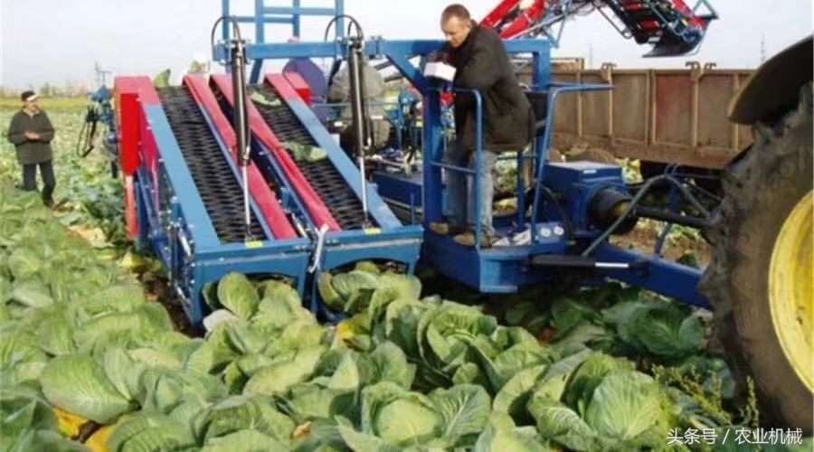 海外蔬菜收获机,蔬菜收获机