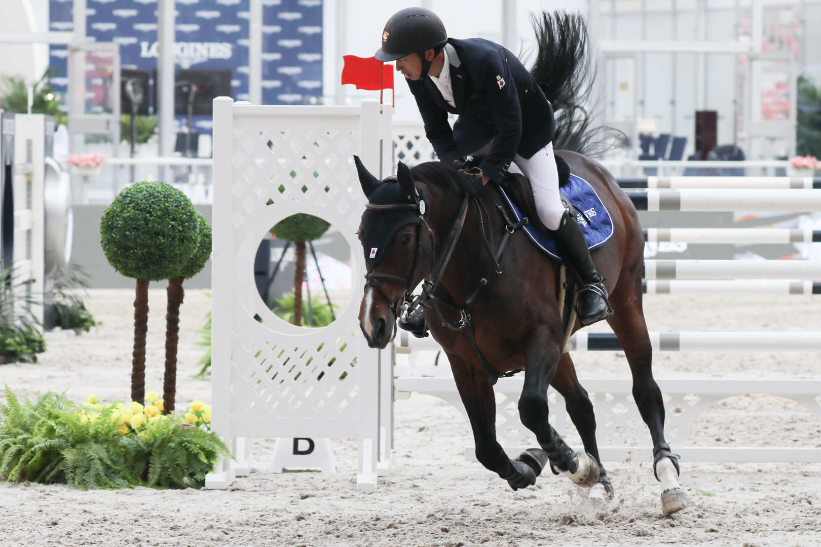 适马501001.8镜头评测,适马35mmf1.4dgdn评测