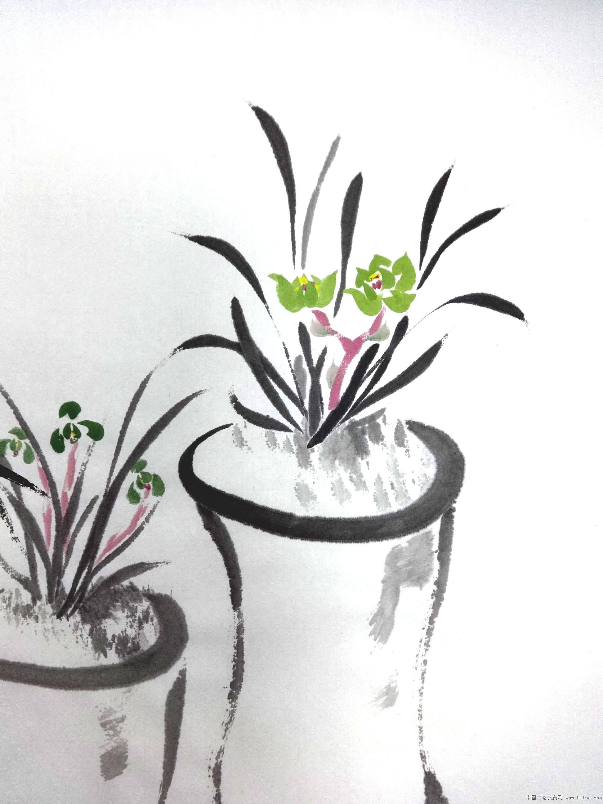 绌鸿胺浣充汉鍏拌姳璇存槑,绌鸿胺浣充汉鑺卞崏