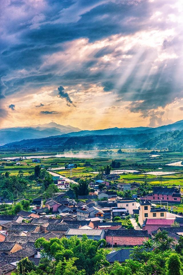 鑽疯姳鍙ら晣鑵惧啿,鑵惧啿鑽疯姳鍙ら晣